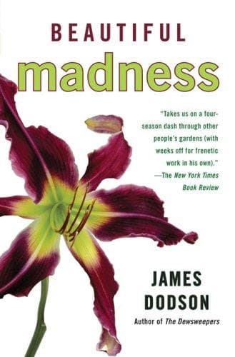 Tapa de Beautiful Madness