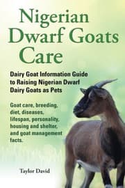 Tapa de Nigerian Dwarf Goats Care