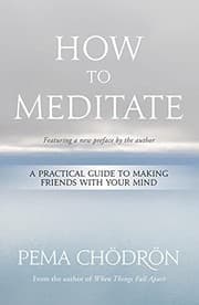Tapa de How to meditate
