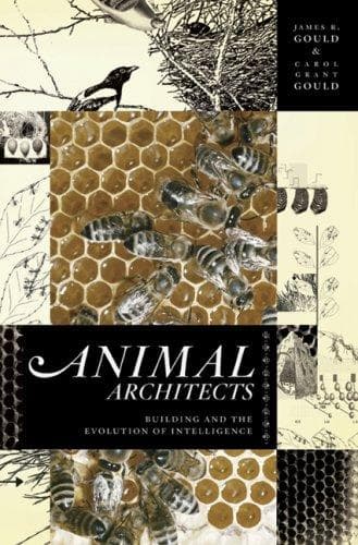 Tapa de Animal architects