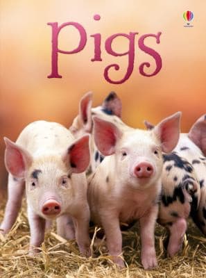 Tapa de Pigs