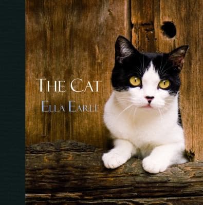 Tapa de Cat
