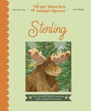 Tapa de Sterling