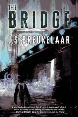 Tapa de Bridge