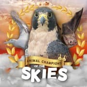 Tapa de Skies