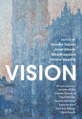 Tapa de Vision
