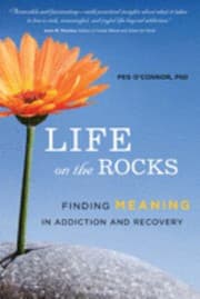 Tapa de Life on the Rocks