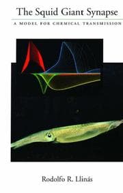 Tapa de The squid giant synapse