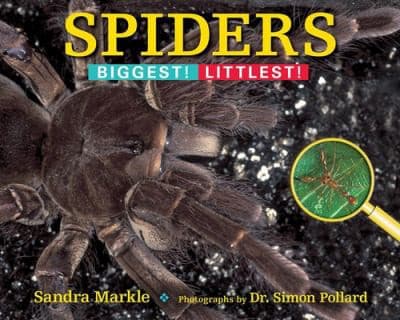 Tapa de Spiders