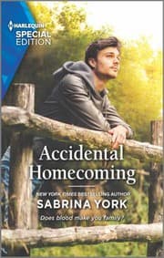 Tapa de Accidental Homecoming