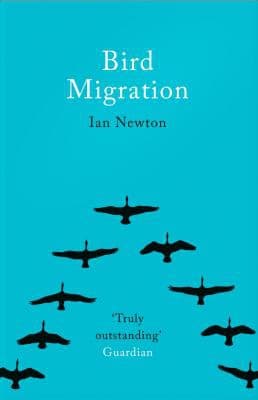 Tapa de Bird Migration