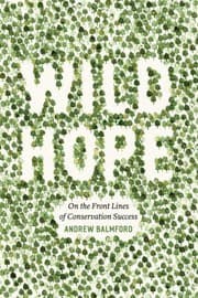 Tapa de Wild hope