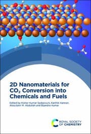 Tapa de 2D Nanomaterials for CO2 Conversion into Chemicals and Fuels