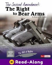 Tapa de Second Amendment