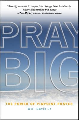 Tapa de Pray Big
