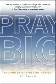 Tapa de Pray Big