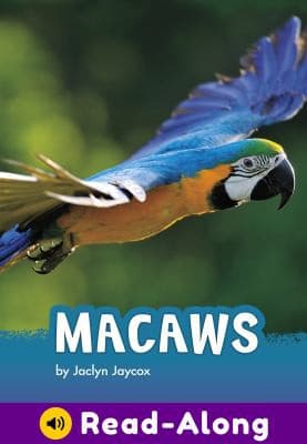 Tapa de Macaws