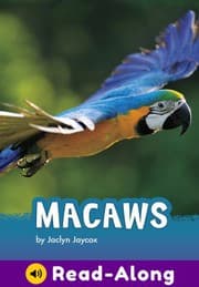 Tapa de Macaws