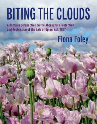 Tapa de Bitting the Clouds
