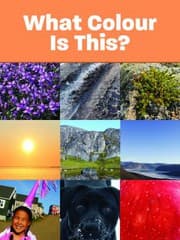 Tapa de What Colour Is This? (English)