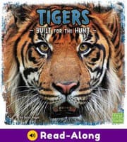 Tapa de Tigers