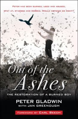 Tapa de Out of the Ashes