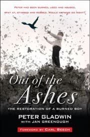 Tapa de Out of the Ashes