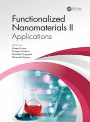 Tapa de Functionalized Nanomaterials II