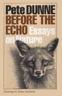 Tapa de Before the Echo