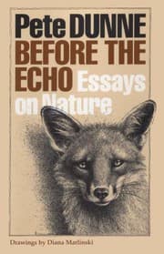 Tapa de Before the Echo