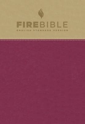 Tapa de Fire Bible-ESV