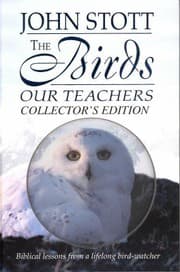 Tapa de The birds, our teachers