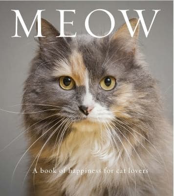 Tapa de Meow