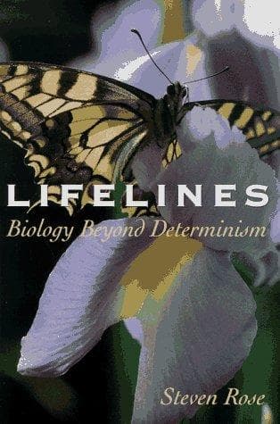 Tapa de Lifelines