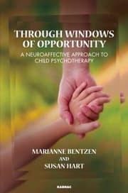Tapa de Through Windows of Opportunity