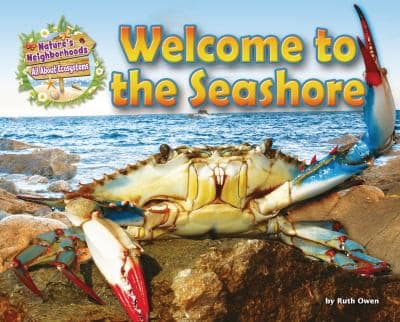 Tapa de Welcome to the Seashore