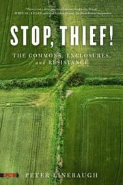 Tapa de Stop, thief!