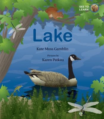 Tapa de Lake
