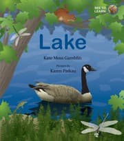 Tapa de Lake