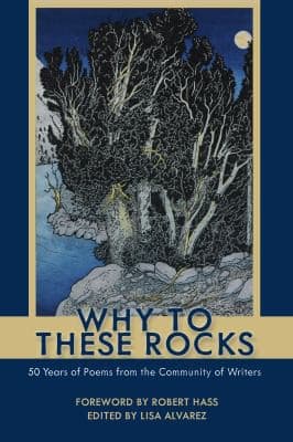Tapa de Why to These Rocks