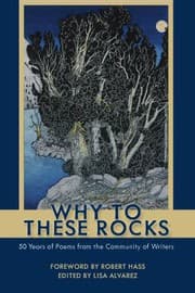Tapa de Why to These Rocks