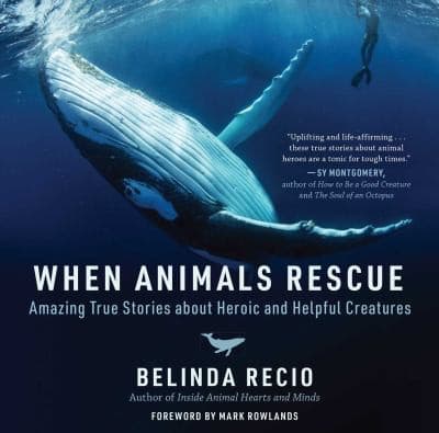 Tapa de When Animals Rescue