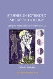 Tapa de Studies in Extended Metapsychology