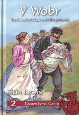 Tapa de Cyfres Straeon Bywyd Cymru