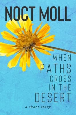 Tapa de When Paths Cross in the Desert