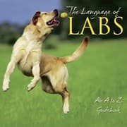 Tapa de Language of Labs