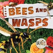Tapa de Bees and Wasps