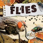 Tapa de Flies
