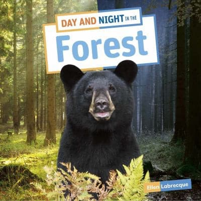 Tapa de Day and Night in the Forest