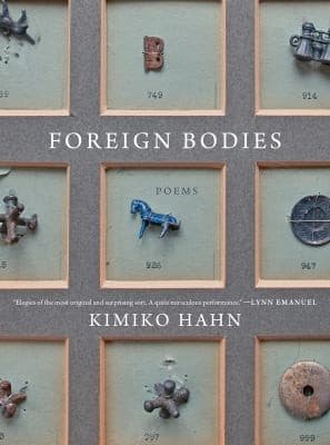 Tapa de Foreign Bodies